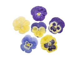 Засахаренный Обезвоженный съедобный цветок "Микс" 6 шт